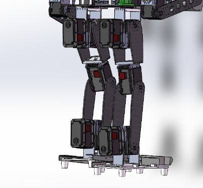 Lower body