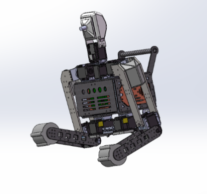 Upper body
